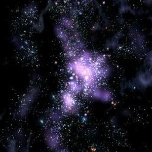 Meet your Posher, Brett